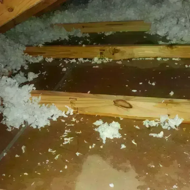 Attic Water Damage in Arnaudville, LA